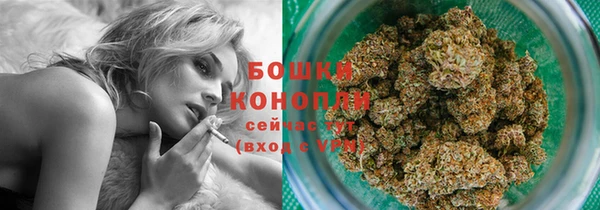 молекула духа Осинники
